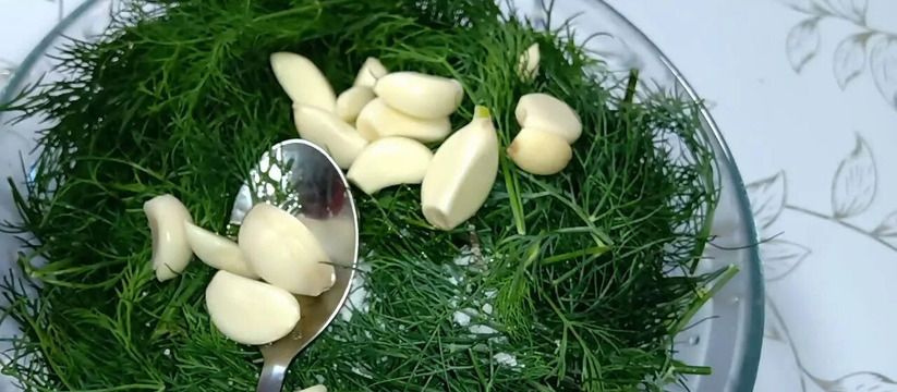 Зелень больше не замораживаю и не сушу на зиму: делаю из укропа, петрушки и чеснока ароматную вкусную приправу – хранится будет долго