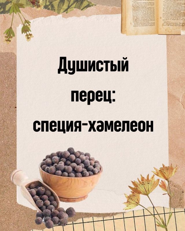  :  ,    