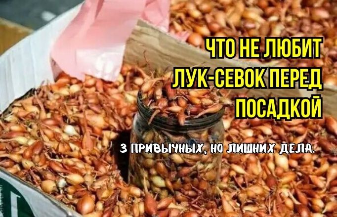     -:   ,    
