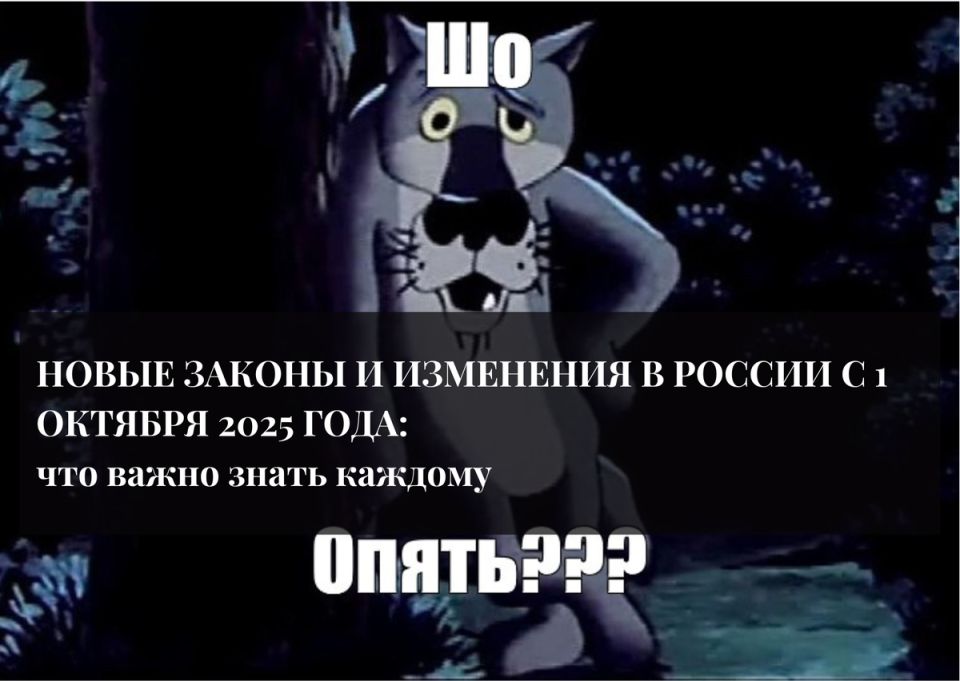  2025:    ,    