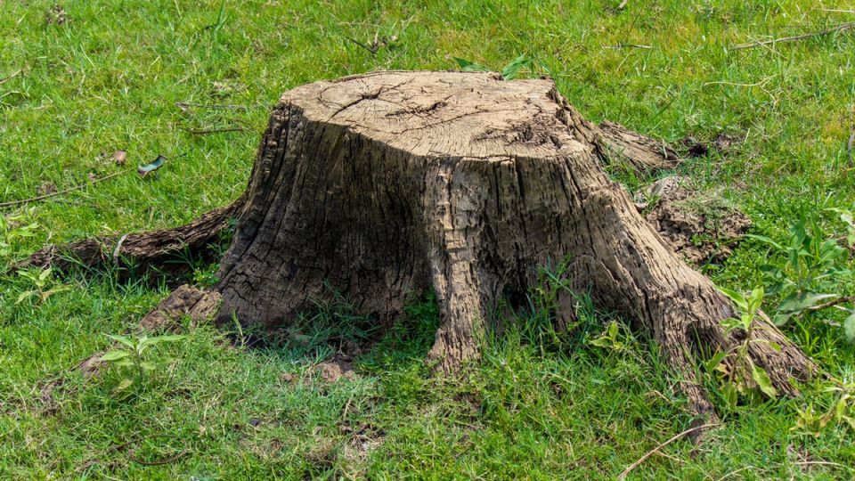      :    