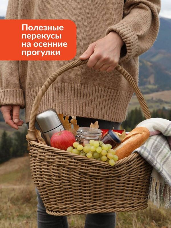 Идеальные перекусы для осенних прогулок: как поддержать себя в форме на свежем воздухе