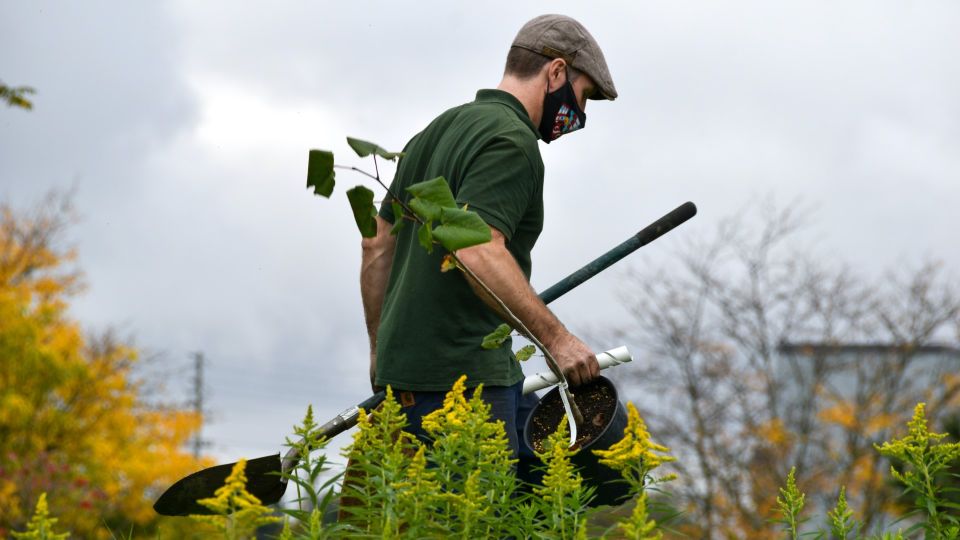 Дачники сами губят свою землю: всему виной ошибка при подготовке компоста