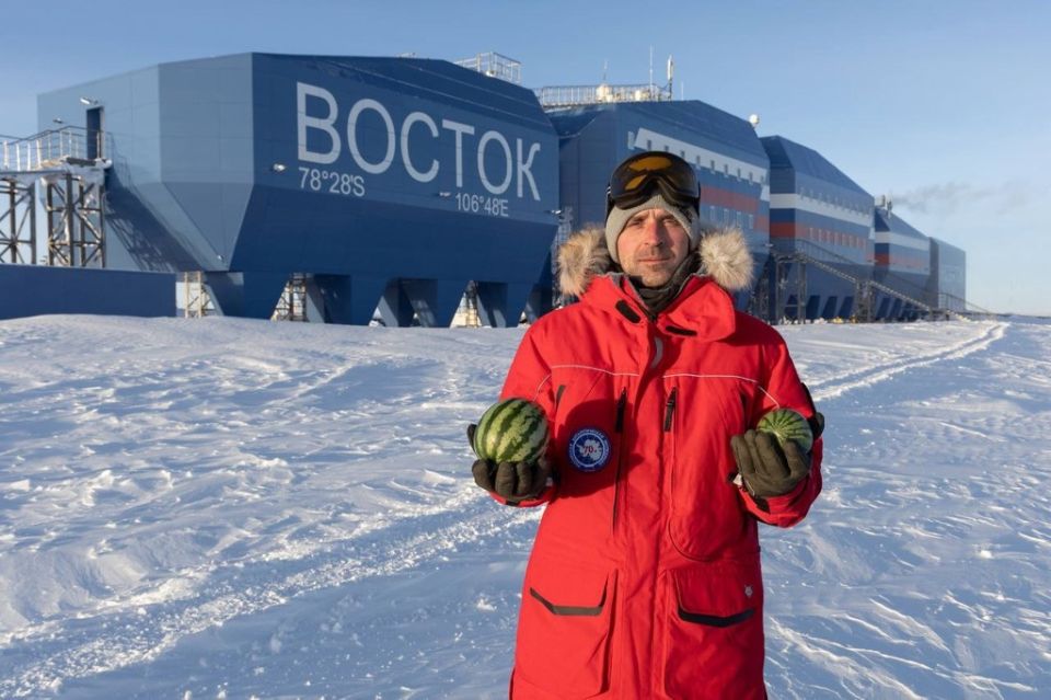 Арктические чудеса: ученые вырастили арбузы в Антарктиде