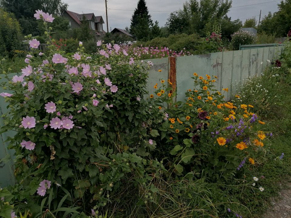 Как подготовить инструменты и выбрать идеальный кирпич для вашего проекта