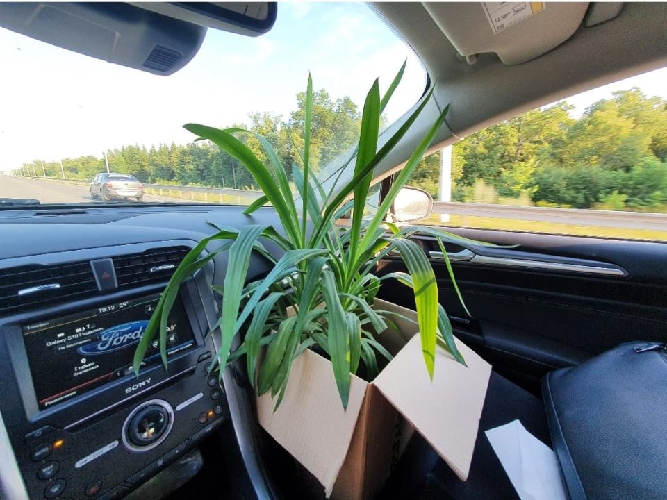 Переезд в загородный дом: неожиданные реалии и уроки жизни вне города