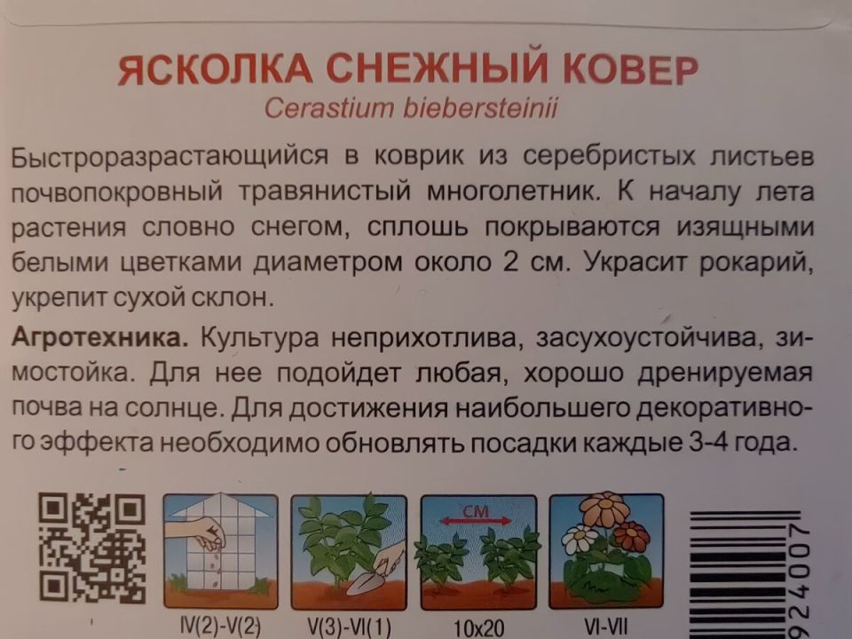 Как вырастить рассаду: советы, которые улучшат ваши результаты