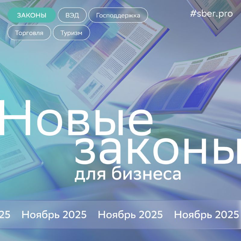 Ноябрьские изменения: Как новые законы затронут бизнес в 2025 году