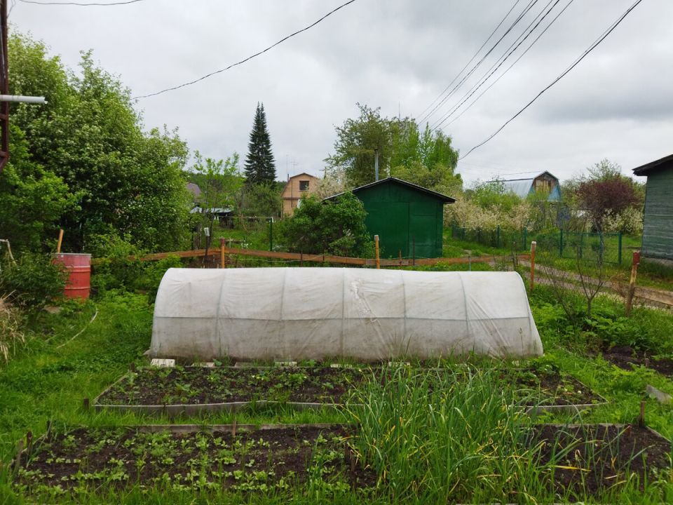 Как провести дождливый день на даче: идеи для продуктивного времяпрепровождения