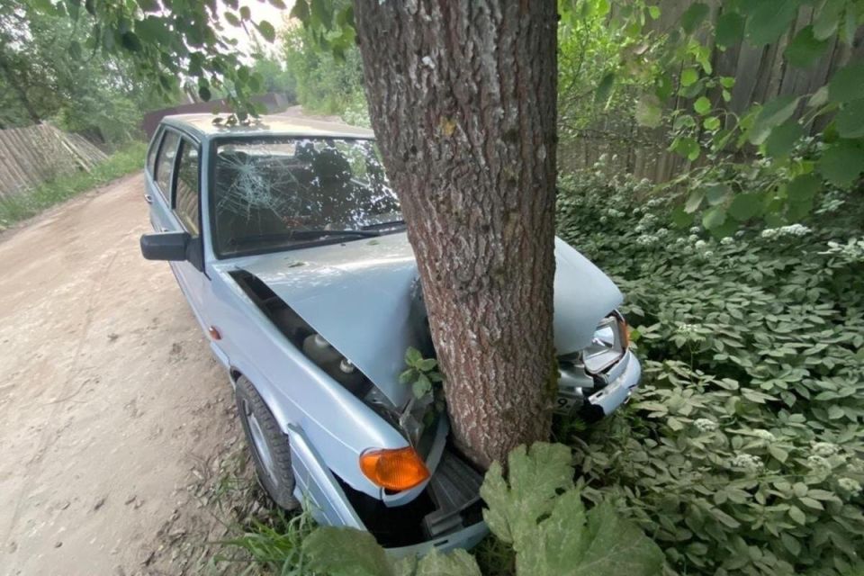 Суд взыскал 700 000 рублей с водителя за поврежденную голубую ель