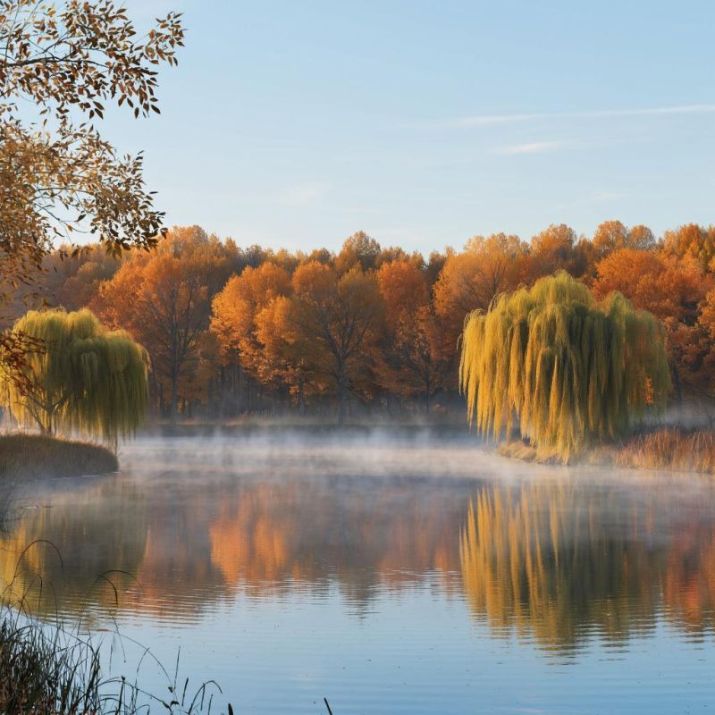 Новые правила трудовых отношений вступят в силу в 2026 году