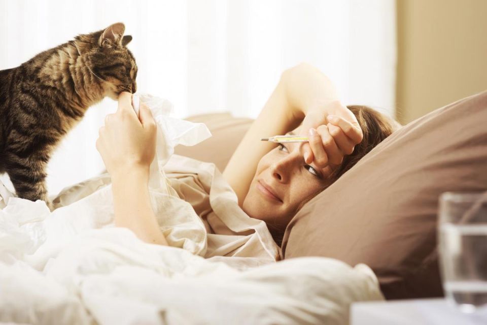 Как кошки ощущают вашу боль: удивительные факты от ветеринаров