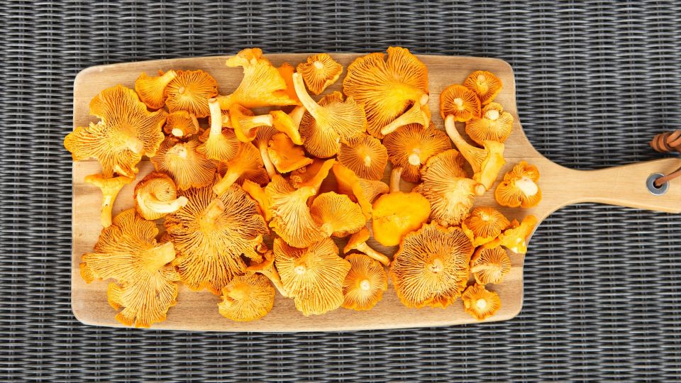 Лисички на зиму заготавливайте только так: секретный рецепт от шеф-повара