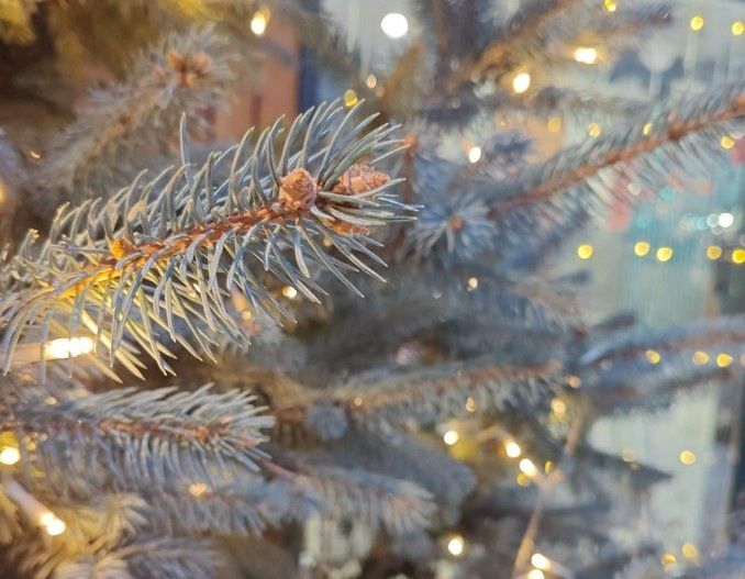 Пенсии за январь придут в декабре