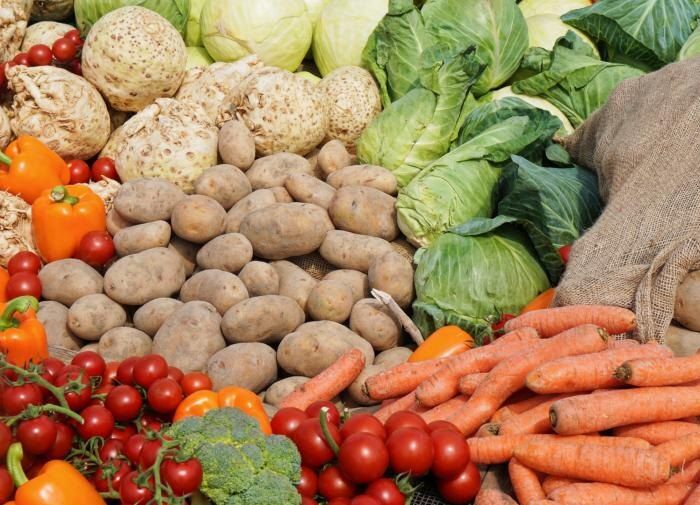 Как правильно подготовить погреб для хранения урожая: полезные советы