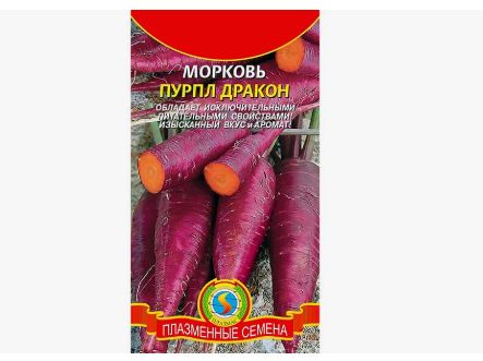 Необычные сорта моркови: удивительные белые и фиолетовые корнеплоды