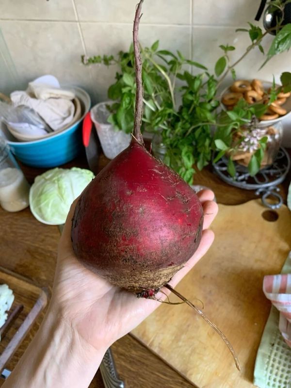 Свекла: удивительный суперфуд, который стоит добавить в ваш рацион