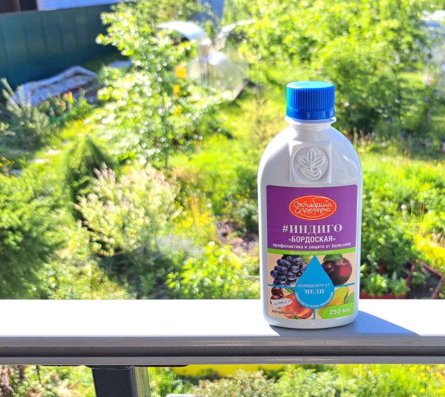 Как "Индиго" преобразил сад: борьба с болезнями растений