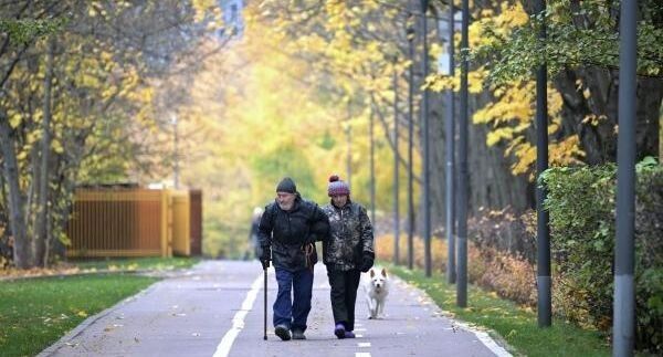 Где в России проживает больше всего пенсионеров: неожиданные цифры