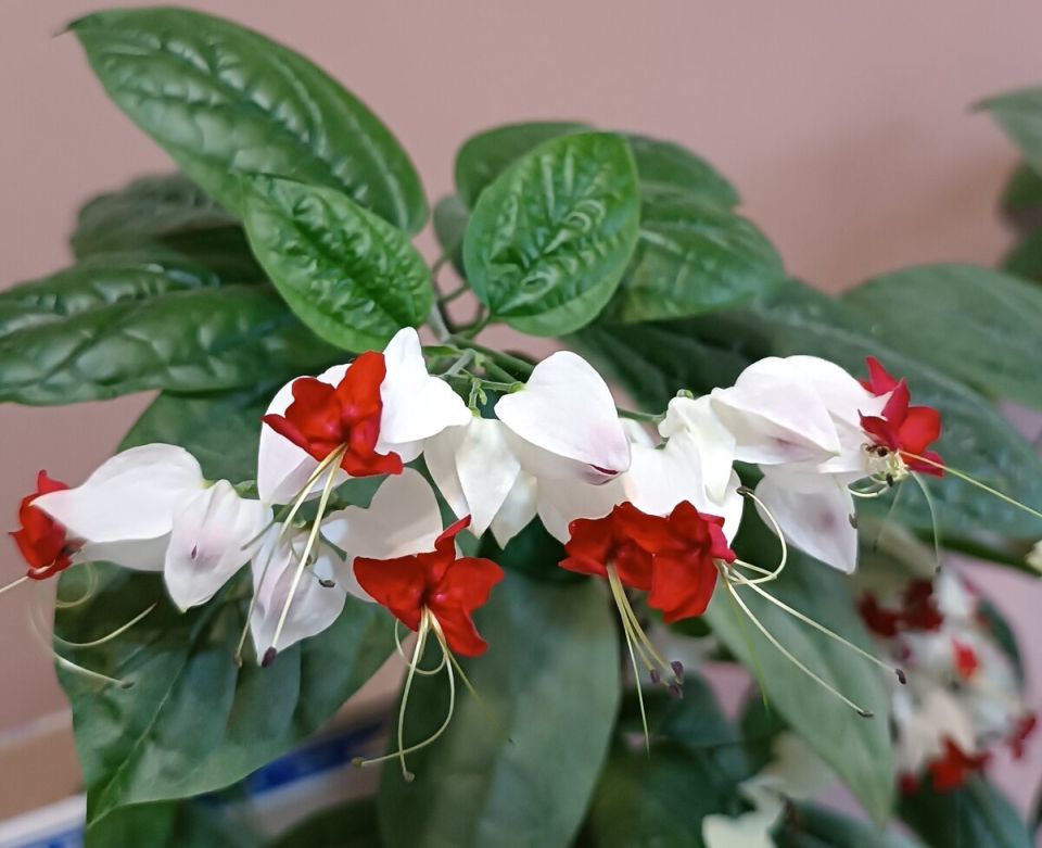 ���������� �������������: ��� ������� �������� ������ � ����� ����