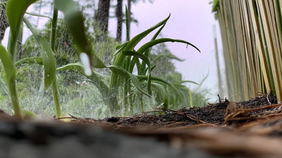 ��� ������ ������ �� �����: 11 ���������������� ������ � ������� �������