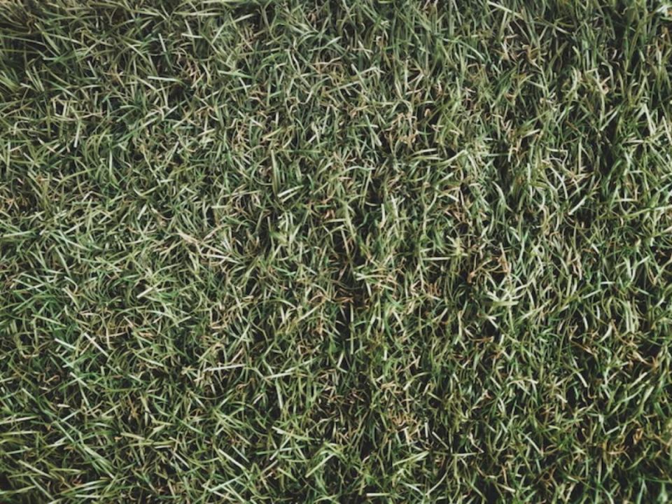 ��� ��������� ����� ����� ����� ����� ������ ������ � �����������