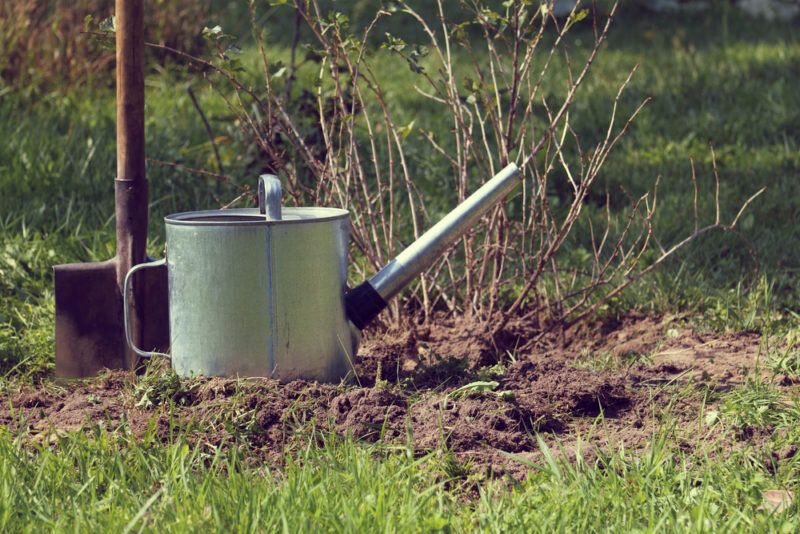 ������������� ������� ��� ������ ��������� �� ����������