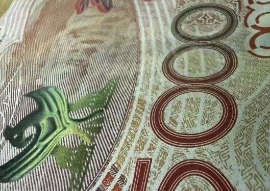 ������������ ��������� ��������� � ����������: ���������� ������� ��� �����������