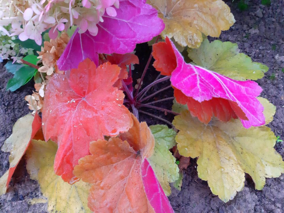 ��� ������� ������������� ���: ������� ������������� ��� ������� ���������