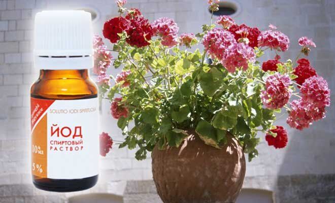 ������� ������������ �������� ������: ��� ��� � ������� ������� ����������