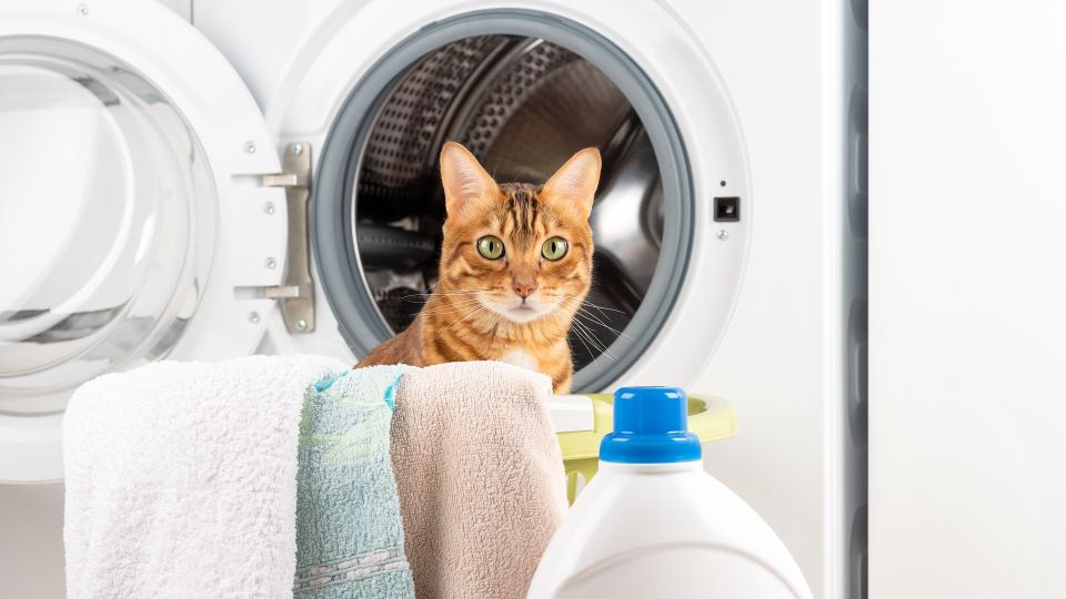 ����������� ������ ��������� ������ ��� ���������: ������� ������ ��������� ��������