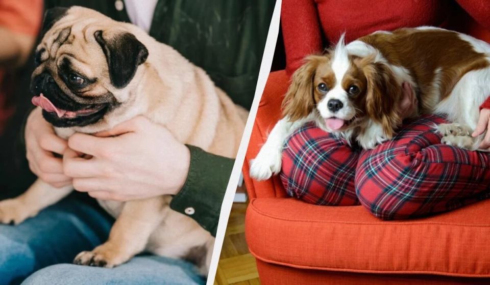 ��� ������� ������������� ������: ������ ������ ��� ������� ������