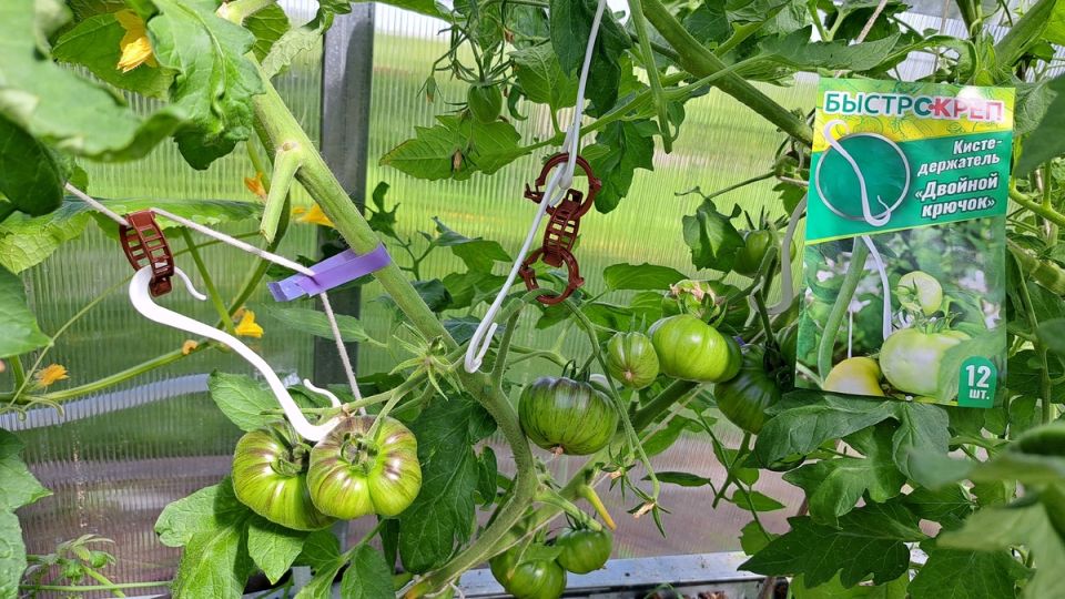 Легкость и комфорт в подвязке растений: комплект "Быстрокреп" на практике