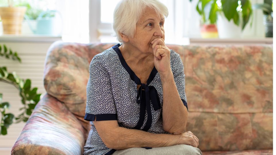 ������ ������ ���� ����� ������� ��������� �� ������