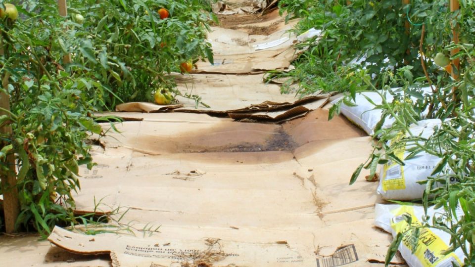 ��� ���������� �� �������� � � ��� ���� ��������� ������: ������� � ����������� �����