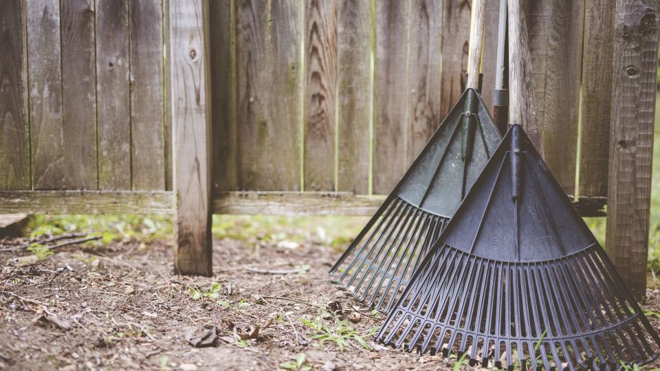 ������� ������� ������ �������� ����� ���� ������� ��������: ������ ������� �� ������� �������