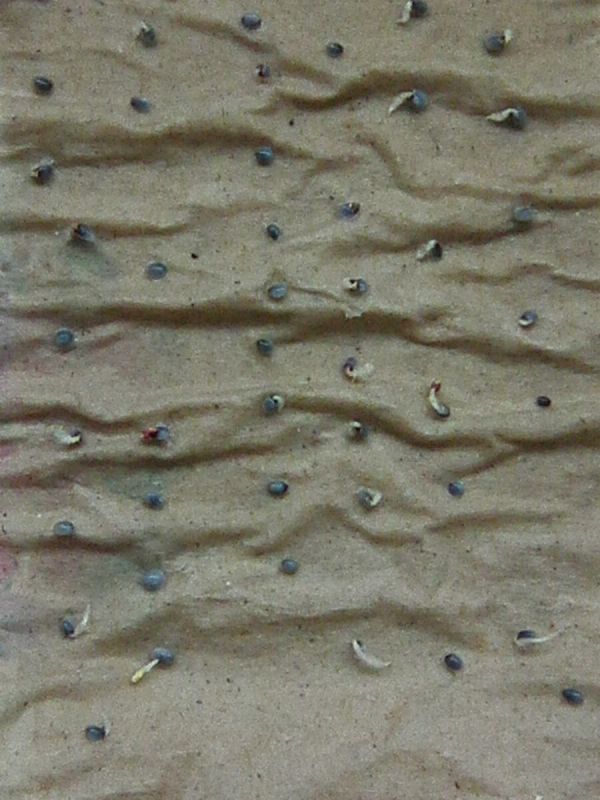 ��������� ������ ��������: ��� ������� ��������� � �����