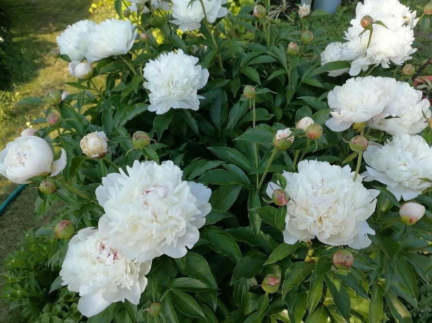 �����: ������� �������� ������� � ������������ �����