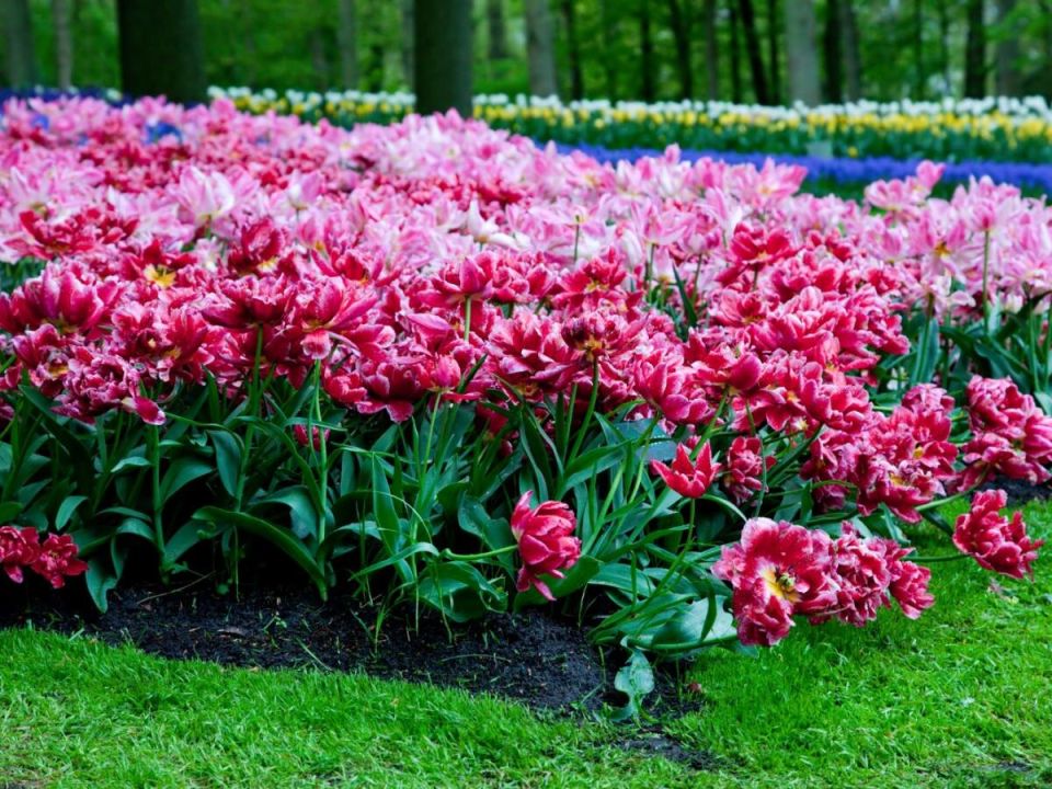 ��� ������������ ���� ���������� ��� ����� � �����