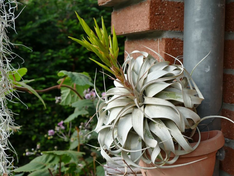 �������� ����������: ����������, ������� ����� �������