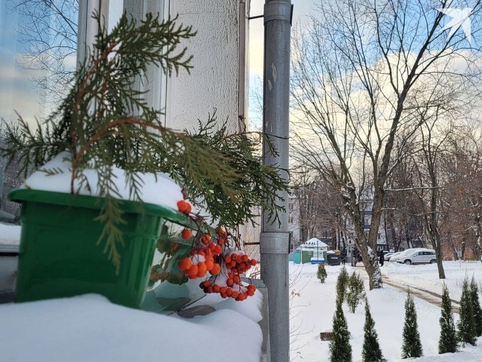 ��� ���� �������� � 2026 ����: ������, �������� � ����� �������