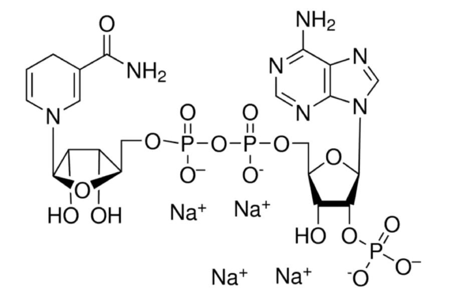 ������� ��������: ����� ����� ����� ������� NAD � ��������� ��������