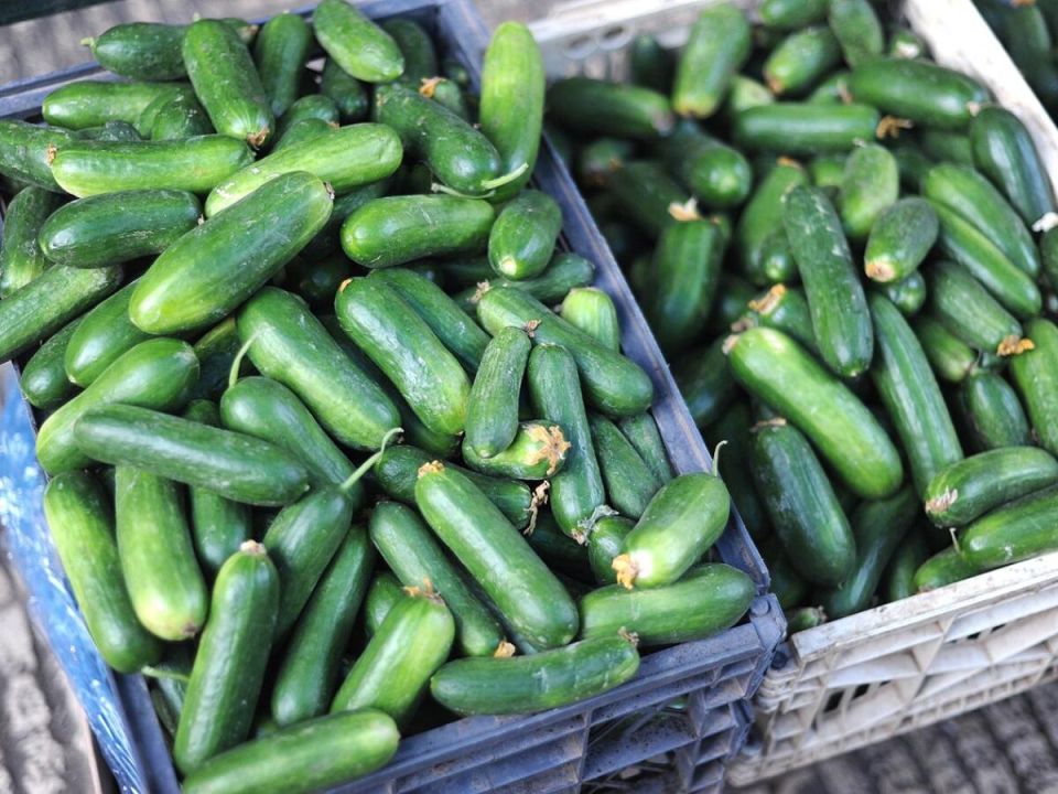 ��������� ���� �������, ������� ������ ������� ����� �� 40 ����