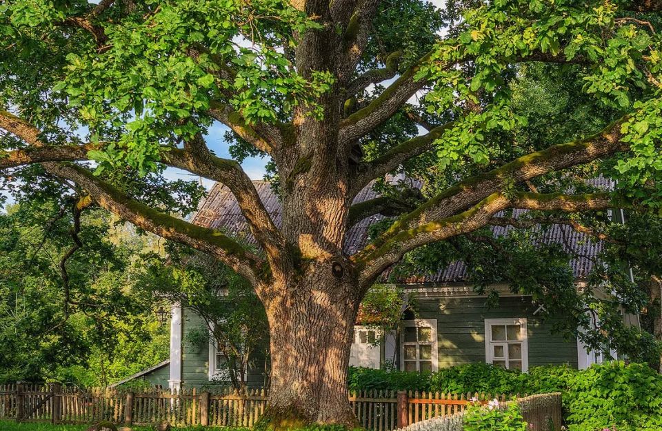 ��������� ������ � ����: ��� ��� ������ ������ �� ������ ������