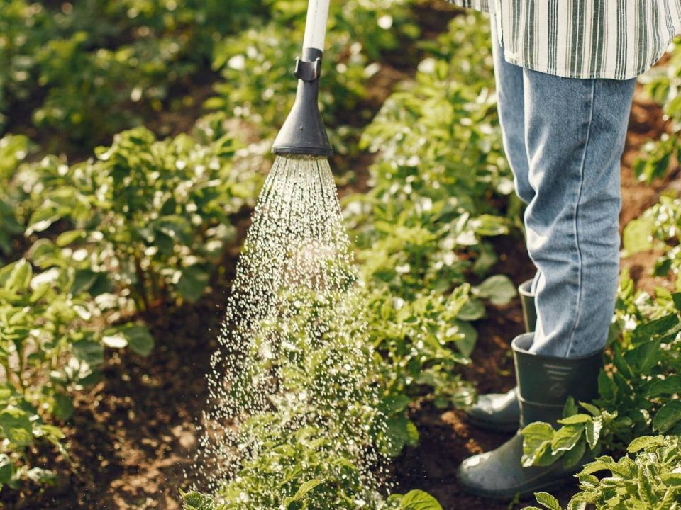 ���������� ����� ����: ��� ������� � ������� ������� ������� ��� �����