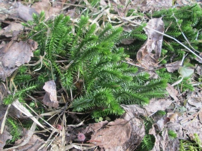 ������� ������������ ��� ������ ������� ���� ������� �����