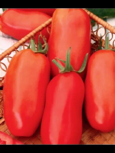 ����� �������: ��������� ������ ����� � ������ ��� ���������������