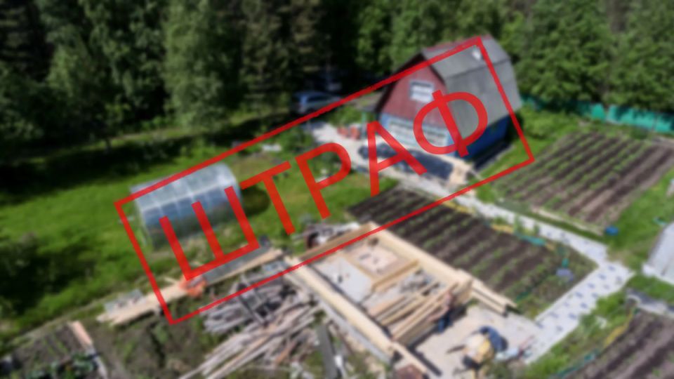 ������� �� ����� � �� �����: ��� ����� ���������� ���������� �������� ����