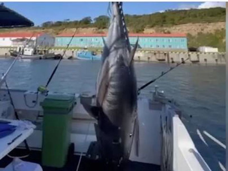 �� ���������� ������� ������������ ������ ���� ����������� ����� ����� 284 ��