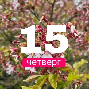  !.        15    +15,    +15,    +14,     +15,    ...